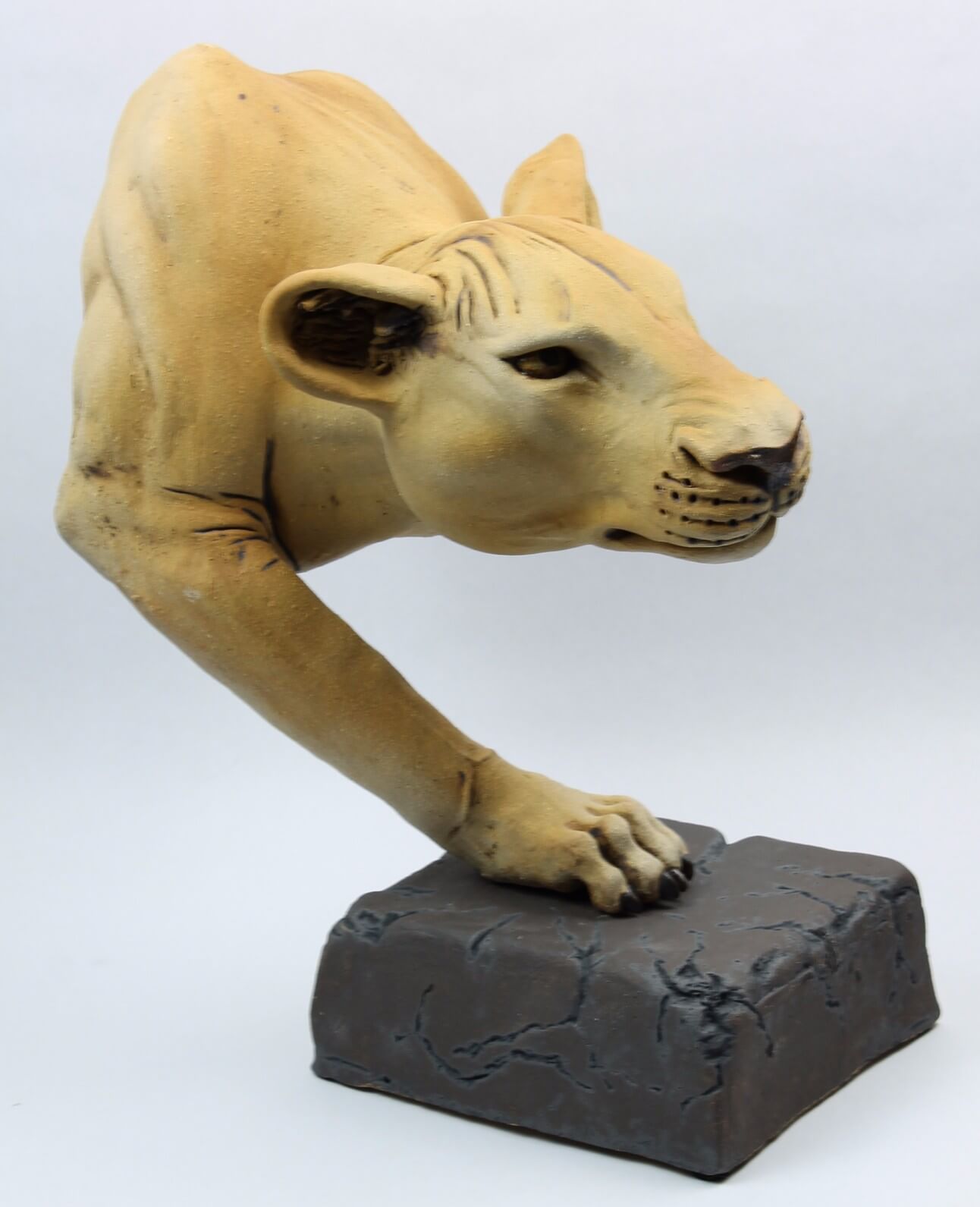 Step by Step Sculpture Process